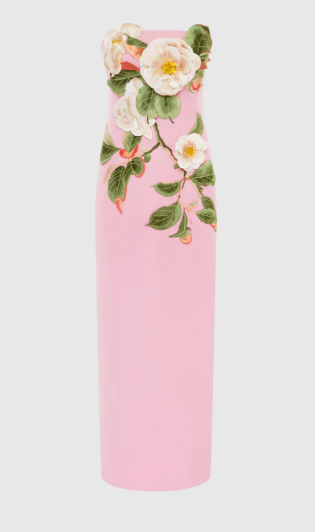 Leo Lin Rayna Appliqué Floral Bustier Maxi Dress - Camelia Print
