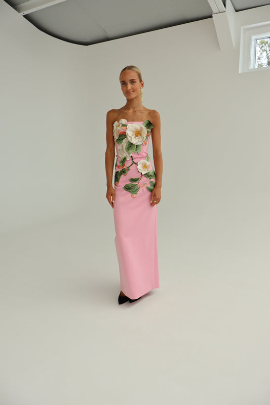 Leo Lin Rayna Appliqué Floral Bustier Maxi Dress - Camelia Print