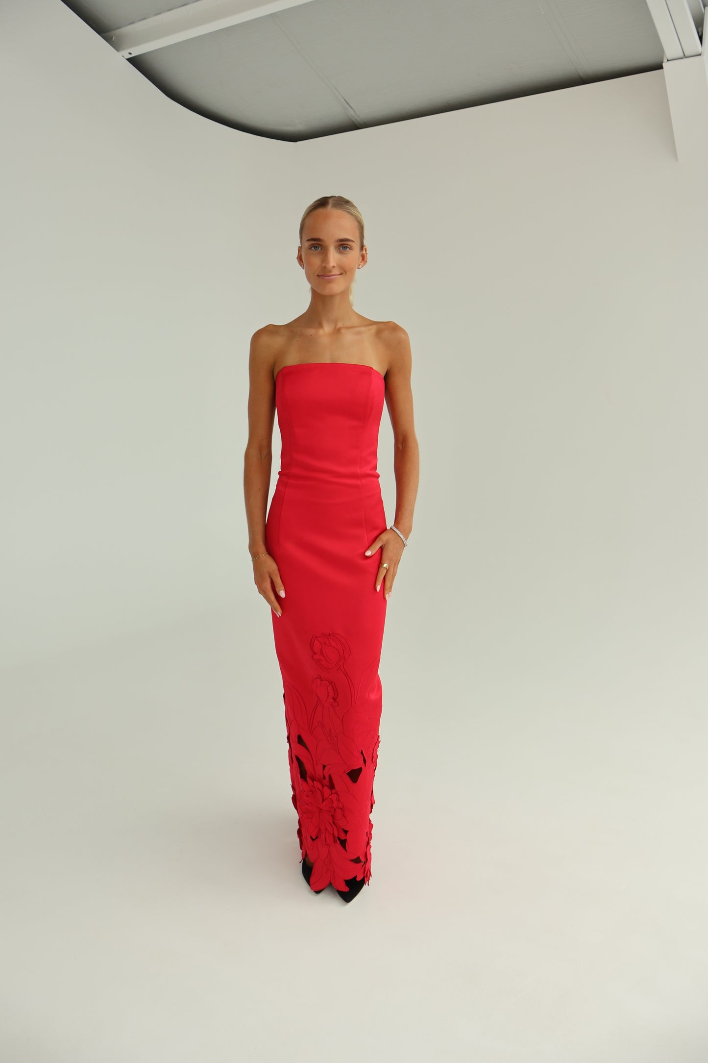 leo lin Rayna Applique Bustier Maxi Dress - Rosa