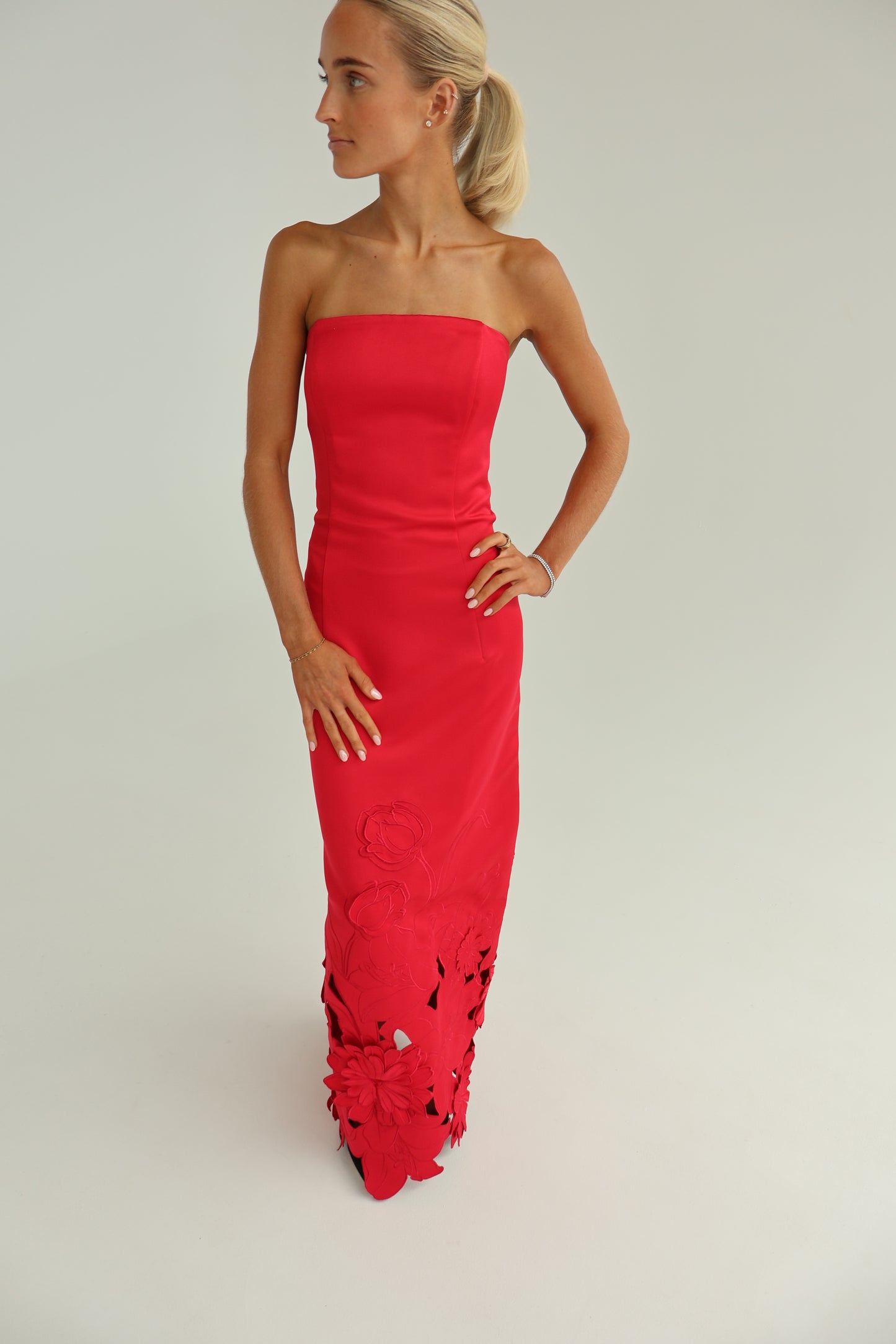 leo lin Rayna Applique Bustier Maxi Dress - Rosa