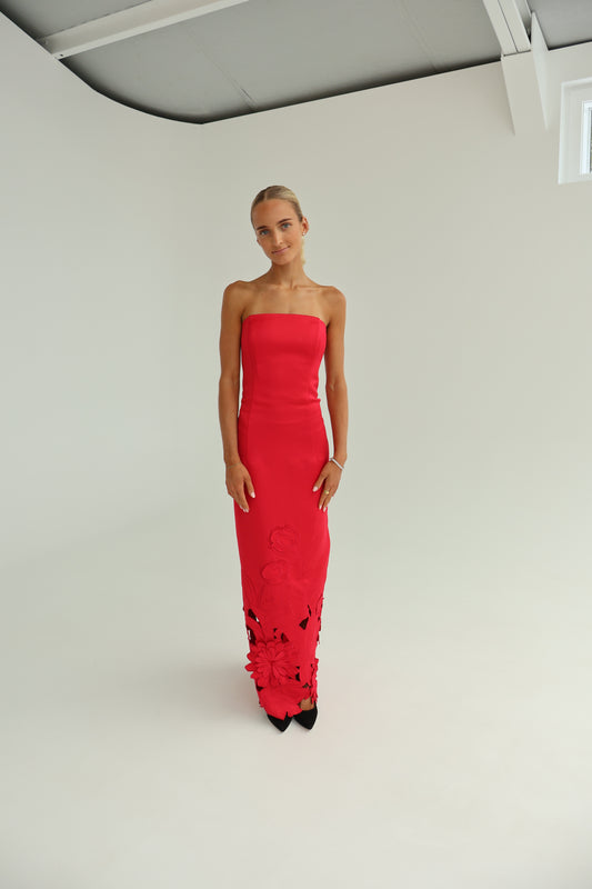 leo lin Rayna Applique Bustier Maxi Dress - Rosa