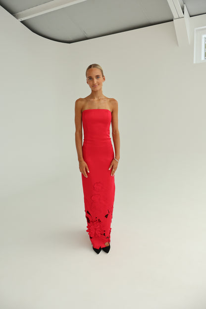 leo lin Rayna Applique Bustier Maxi Dress - Rosa