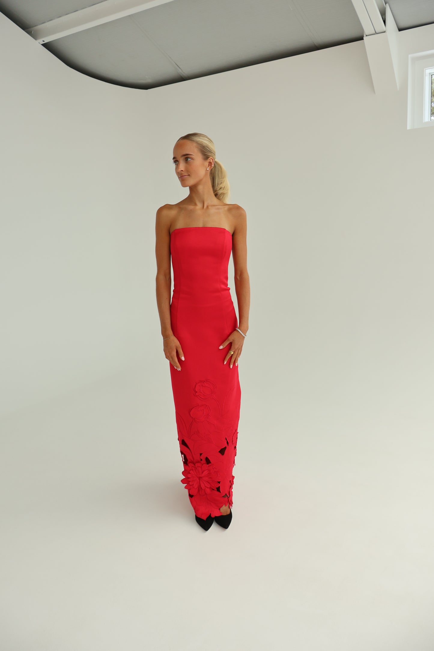 leo lin Rayna Applique Bustier Maxi Dress - Rosa