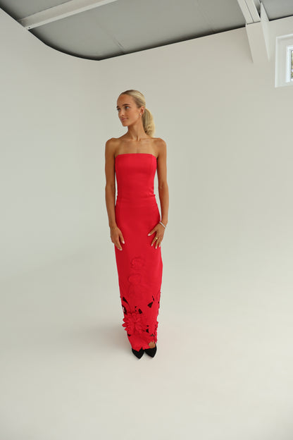 leo lin Rayna Applique Bustier Maxi Dress - Rosa
