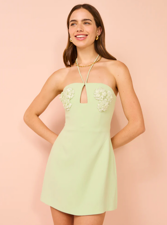 Rachel Gilbert Lucie Mini Dress in Seafoam