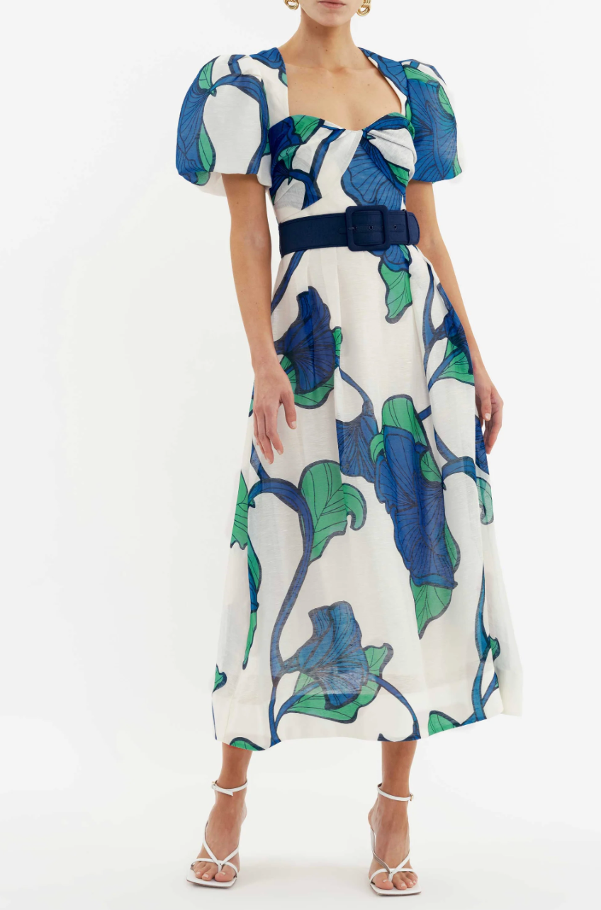 Rebecca Vallance Blue Ivy Midi Dress - Print