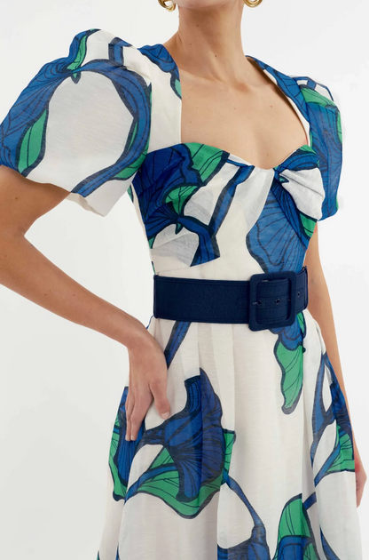 Rebecca Vallance Blue Ivy Midi Dress - Print