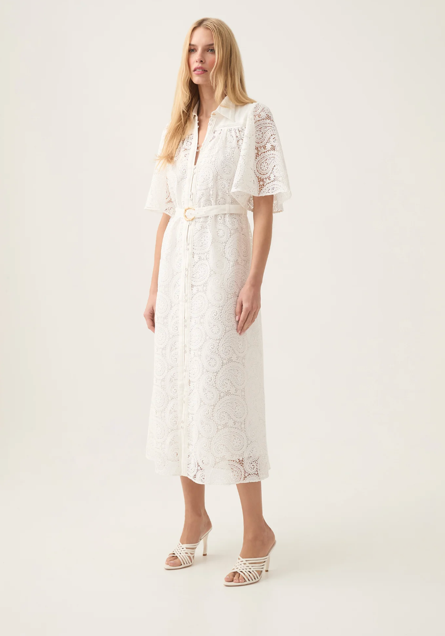 Aje Laicey Paisley Midi Dress