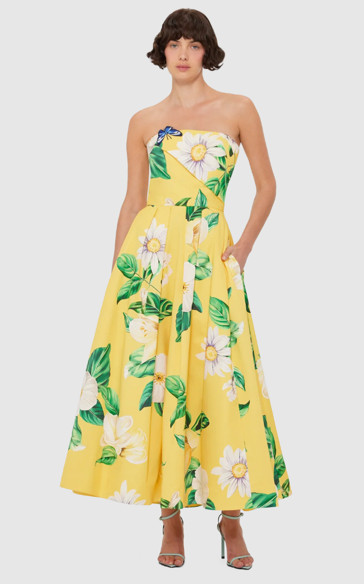 Leo Lin Lynn Bustier Midi Dress - Joie Print in Sunshine