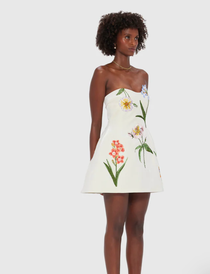 Leo Lin Rosario Velvet Mini Dress - Botanical Print in Snow