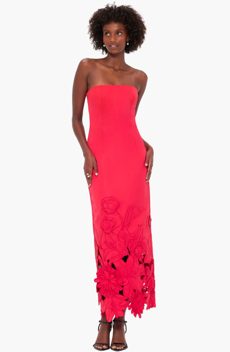 leo lin Rayna Applique Bustier Maxi Dress - Rosa ABC Dress Hire leo lin Rayna Applique Bustier Maxi Dress - Rosa ABC Dress Hire