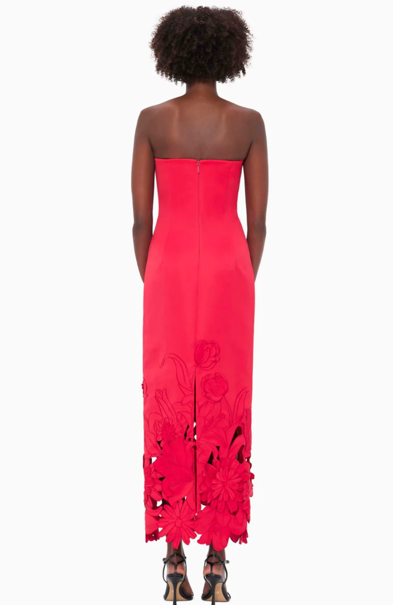 Rayna Applique Bustier Maxi Dress - Rosa