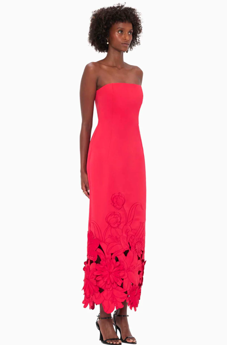 Rayna Applique Bustier Maxi Dress - Rosa