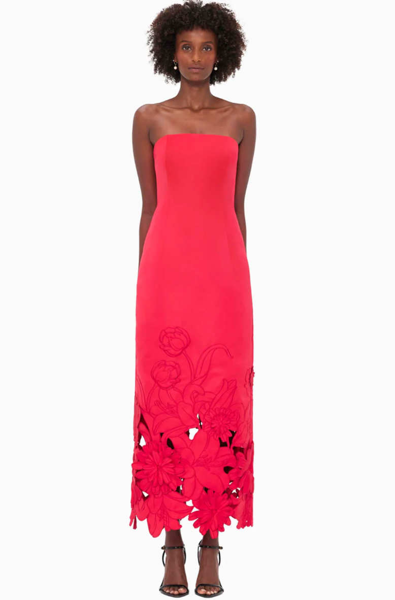 Rayna Applique Bustier Maxi Dress - Rosa