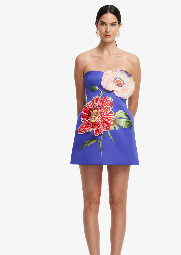 Leo Lin Rosario Applique Floral Bustier Mini Dress