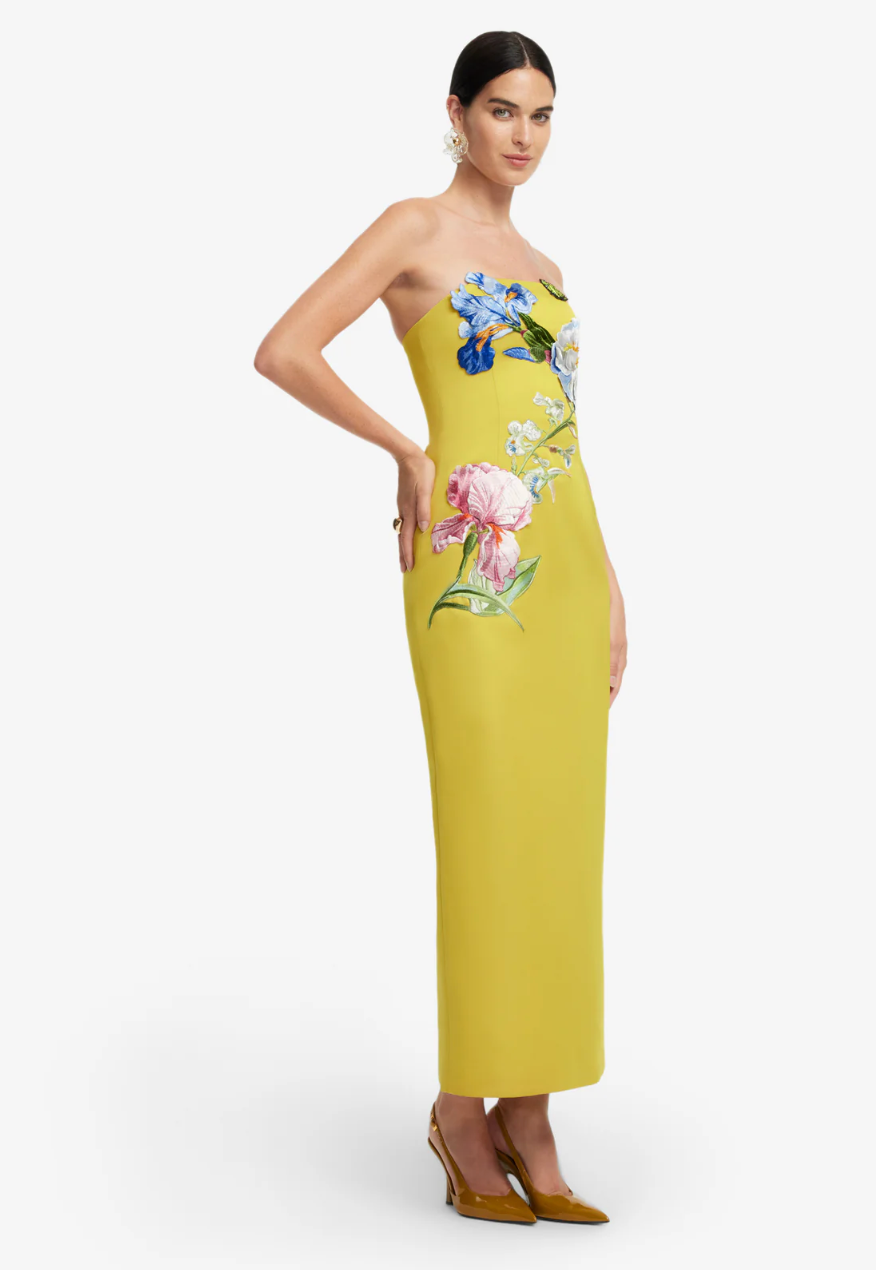 Leo Lin Rayna Appliqué Floral Bustier Maxi Dress