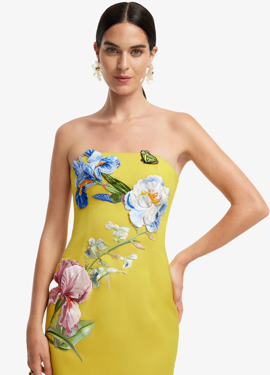 Leo Lin Rayna Appliqué Floral Bustier Maxi Dress