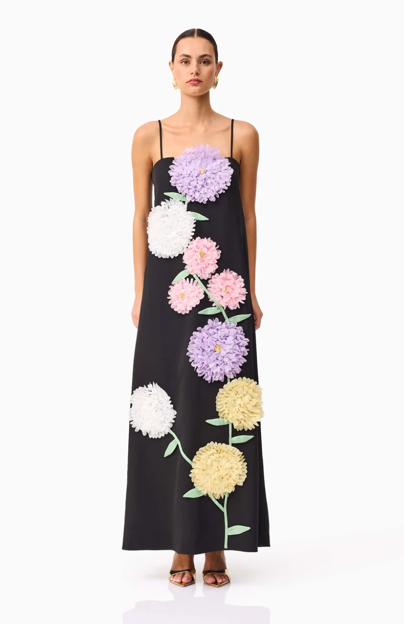 Elliatt Buttercup Embroidered Maxi Dress in Black