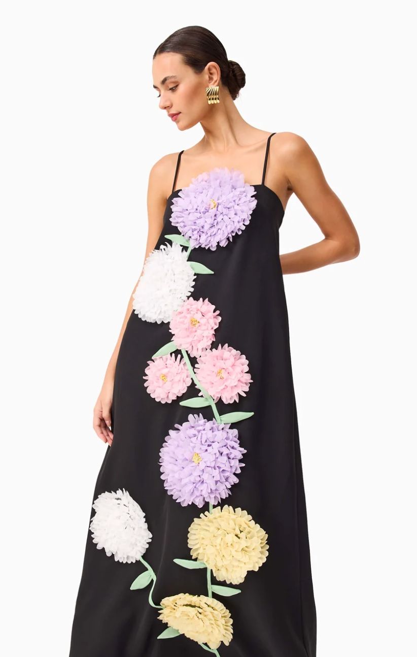Elliatt Buttercup Embroidered Maxi Dress in Black