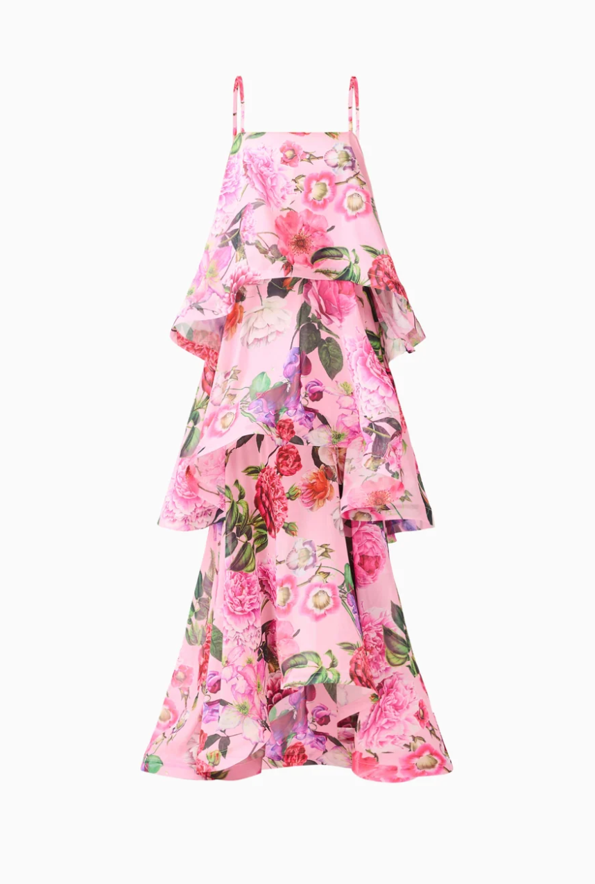 Elliatt Armani Tiered Maxi Dress in Pink Floral
