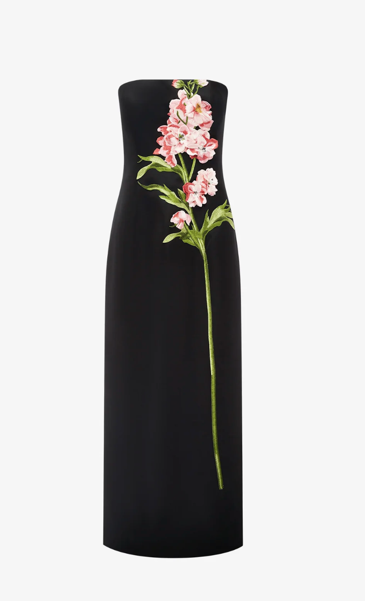 Leo Lin Rayna Embroidered Maxi Dress In Snapdragon Print in Ebony