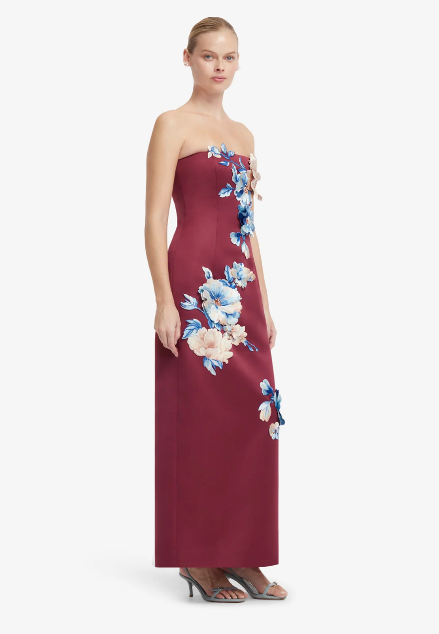 Leo Lin Rayna Embroidered Maxi Dress In Cosmos Print