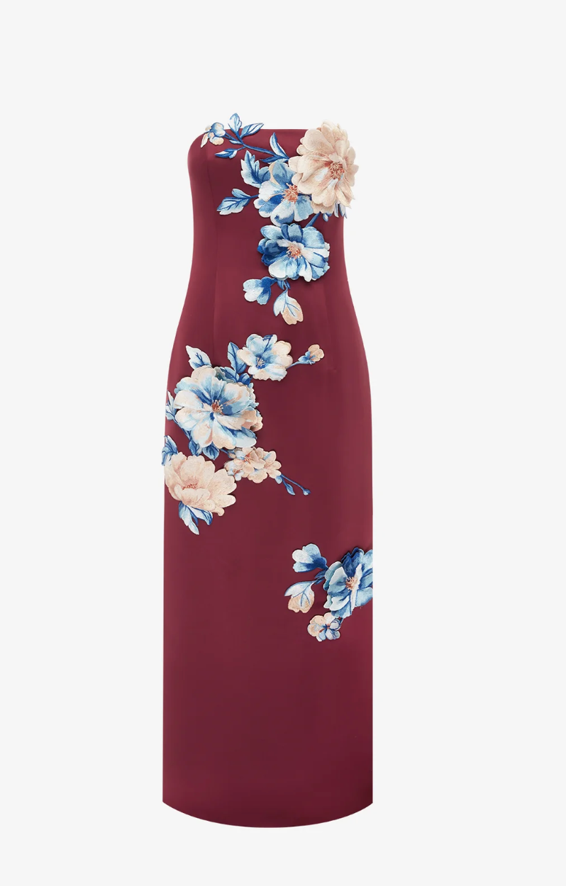 Leo Lin Rayna Embroidered Maxi Dress In Cosmos Print
