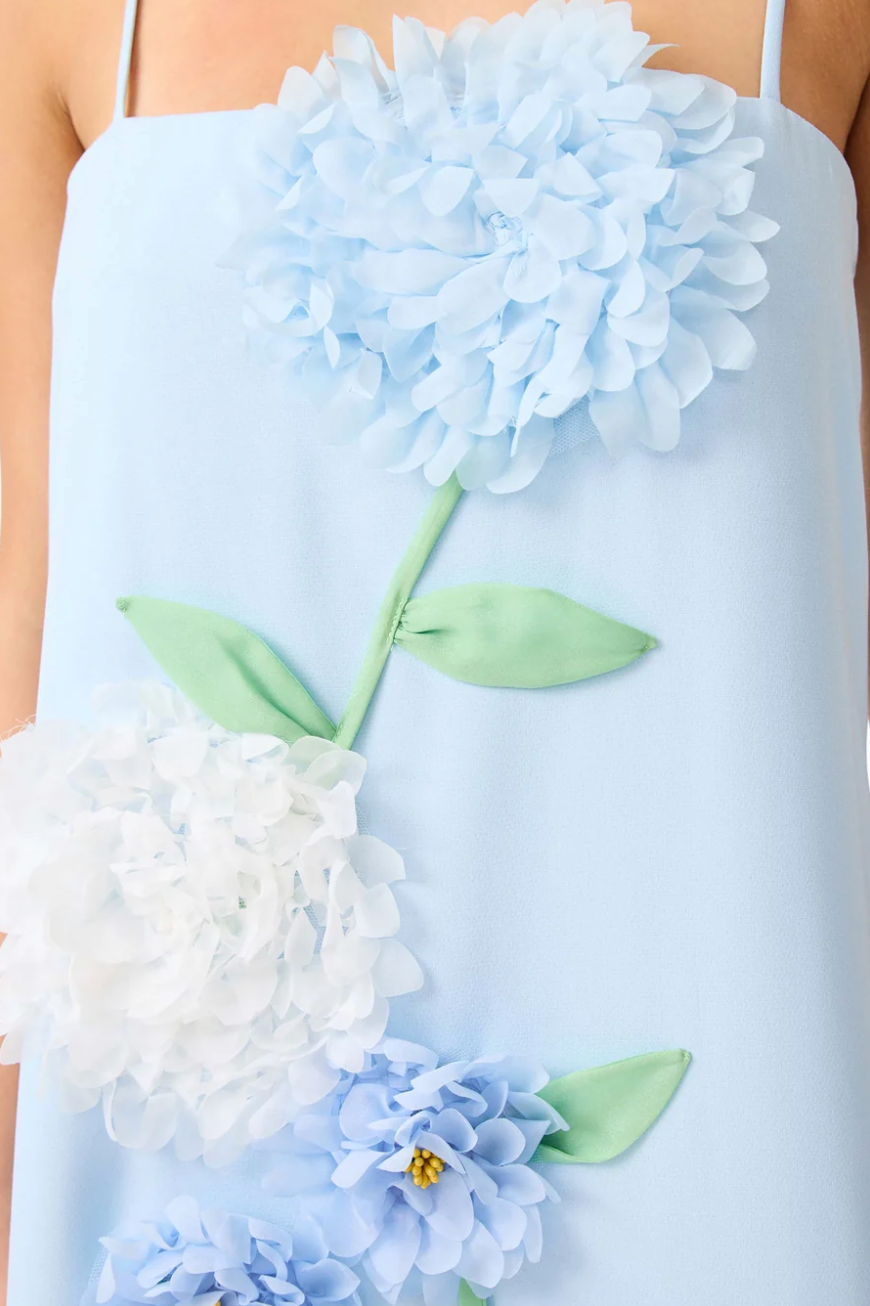 Elliatt Buttercup Embroidered Maxi Dress In Blue