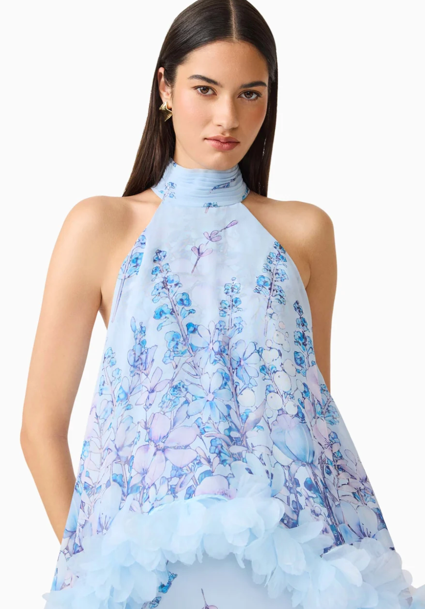 Elliatt Tulsia Floral Cape Maxi Dress in Light Blue