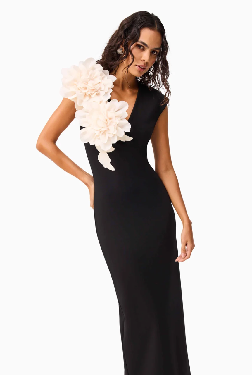 Elliatt Zahara V-Neck Gown in Black